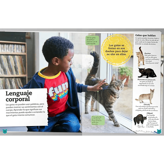 Libro Mi Libro de Gatos y Gatitos