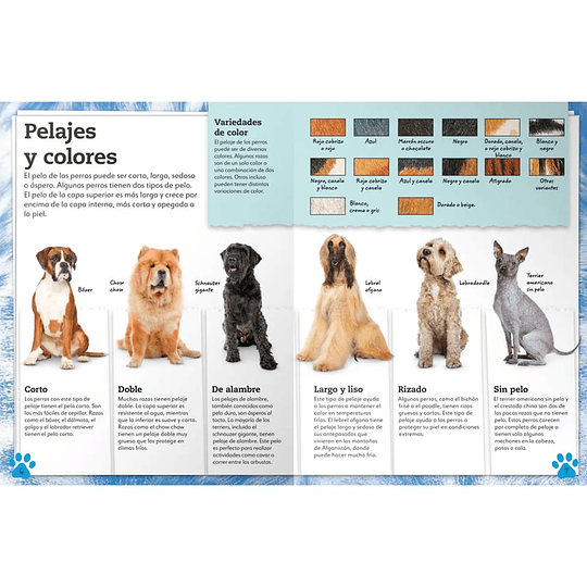 Libro Mi Libro de Perros y Cachorros