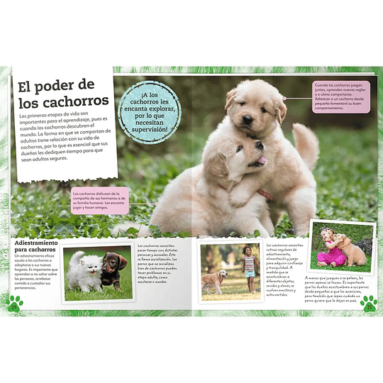 Libro Mi Libro de Perros y Cachorros