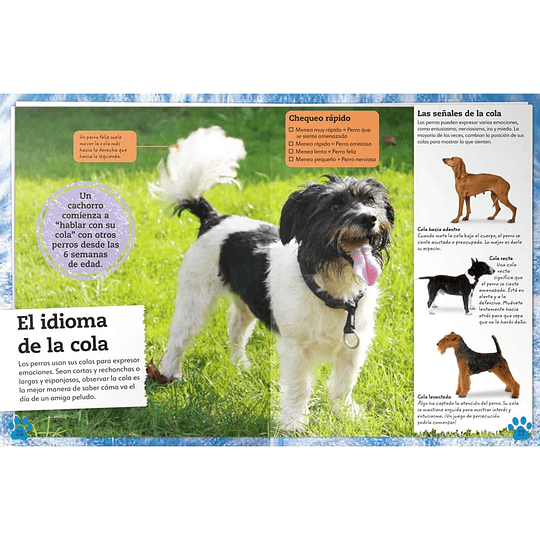 Libro Mi Libro de Perros y Cachorros