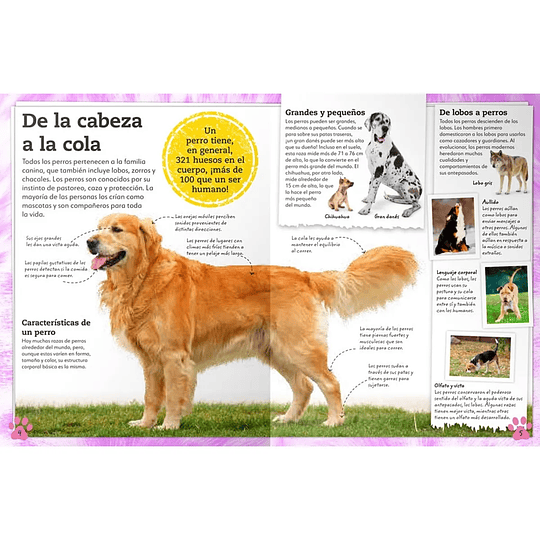 Libro Mi Libro de Perros y Cachorros