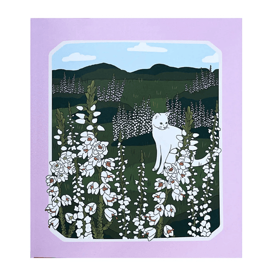 Libro Suerte, Buena Suerte