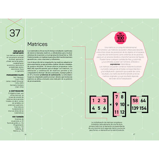 Libro 100 ideas 100 palabras Matemáticas