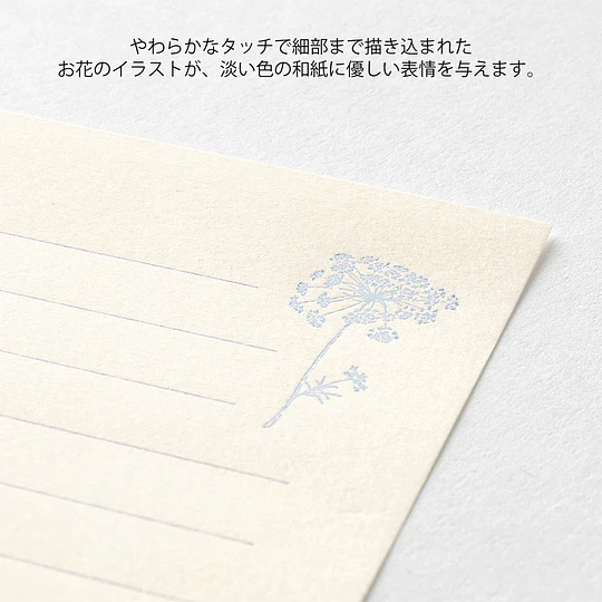 Midori Mini Letter Set HANAIRO WASHI  White