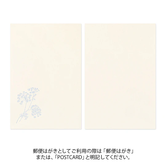 Midori Postcard 5 colors HANAIRO WASHI 