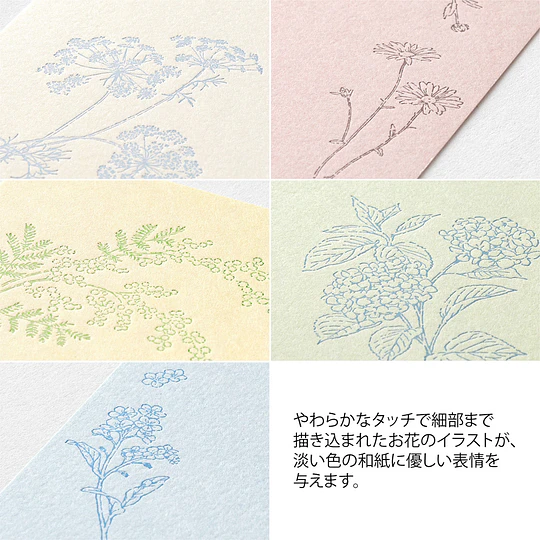 Midori Postcard 5 colors HANAIRO WASHI 