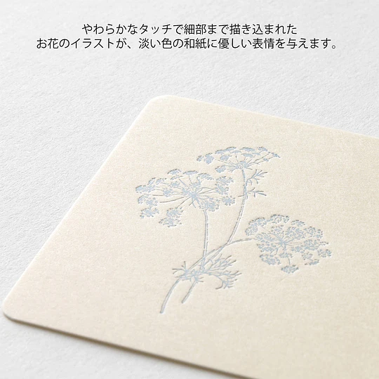 Midori Card Set Business Card Size HANAIRO WASHI White