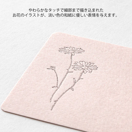 Midori Card Set Business Card Size HANAIRO WASHI  Pink