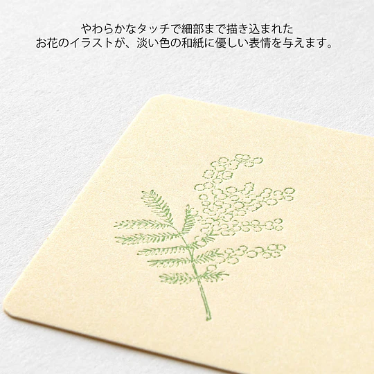 Midori Card Set Business Card Size HANAIRO WASHI  Yellow