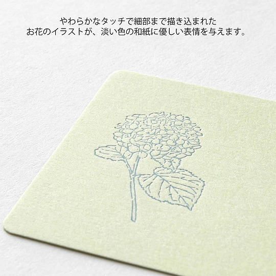 Midori Card Set Business Card Size HANAIRO WASHI Green