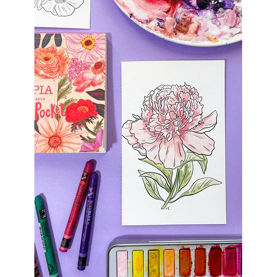 Libro de Pintar Floralia Pocket Casa Lapín