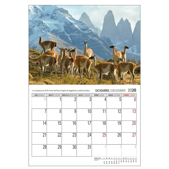 Calendario Chile 2027 Pared