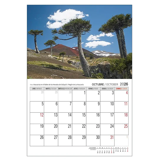 Calendario Chile 2027 Pared