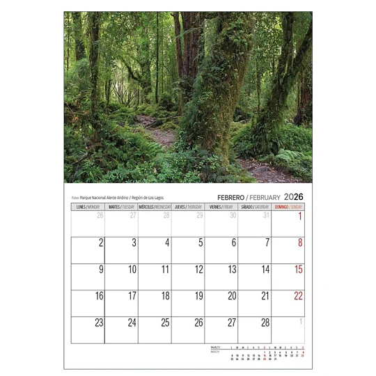 Calendario Chile 2027 Pared