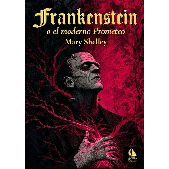 Libro Frankenstein o el Moderno Prometeo