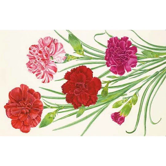 100 Flores. Tarjetas con motivos florales (RHS)