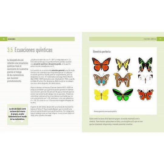 Libro 100 conceptos Matemáticas - FREIBERGER