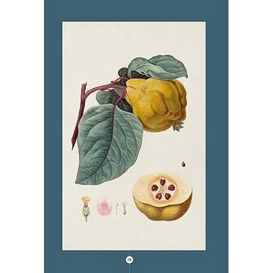 Libro El Jardín del Boticario