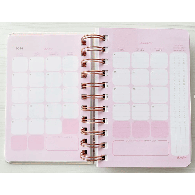 Agenda Spring Rosada- Mooving