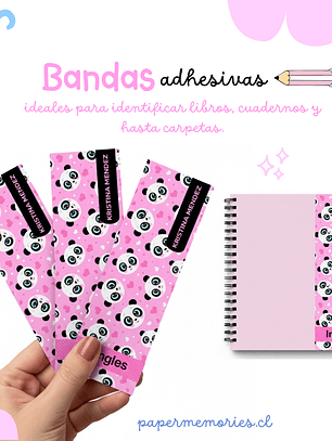 Etiquetas Escolares Bandas 