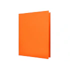 Classificador  cartolina A4 180gr laranja 50 un 3