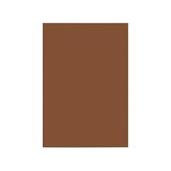 Cartolina A4 180gr pack 100fl. castanho