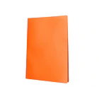 Capa catalogo 10 bl polipropileno A4  laranja flur. 4