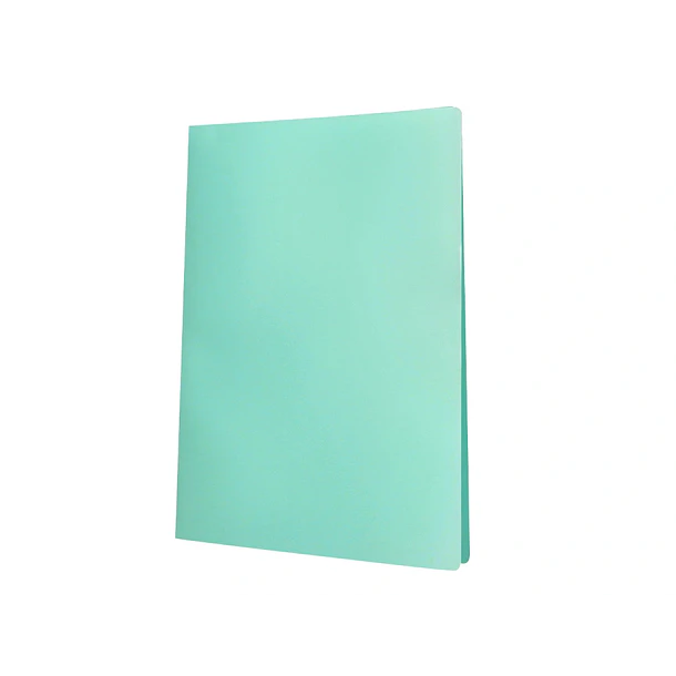 Capa catalogo 20bl polipropileno A4 verde maça 3