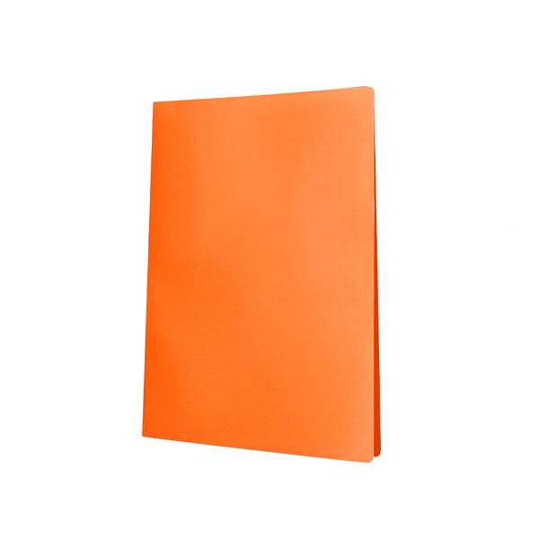 Capa catalogo 40bl polipropileno A4  laranja flur. 3