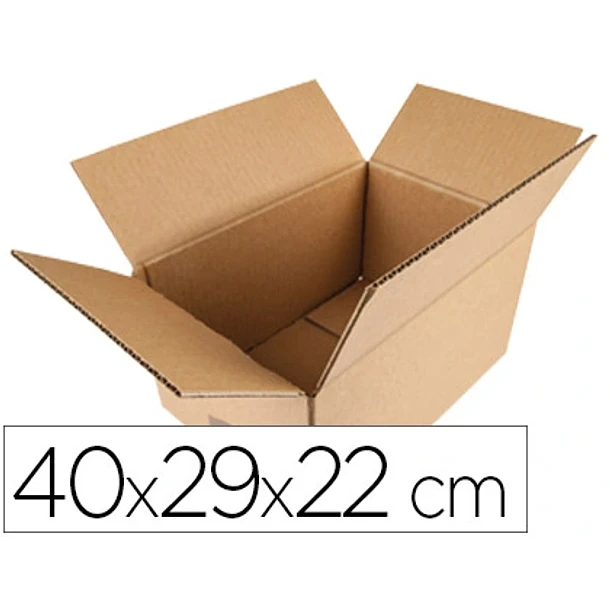 Cx embalagem americana 400x290x220 mm 20un 1
