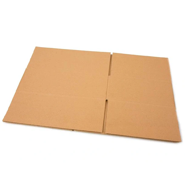 Cx embalagem americana  250x150x100 mm. 25un 3