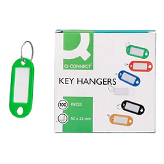 Chaveiro porta-etiquetas verde cx 100 un