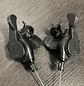 Palancas De Cambios Shifther Microshift 3x7 Velocidades - Miniatura 4