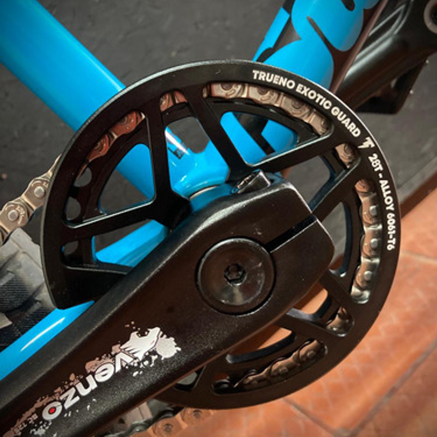 Plato Trueno Exotic Guard  4