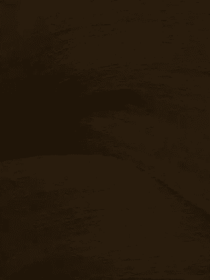 Shade EQ 02ABn Ébano frío 60 ml