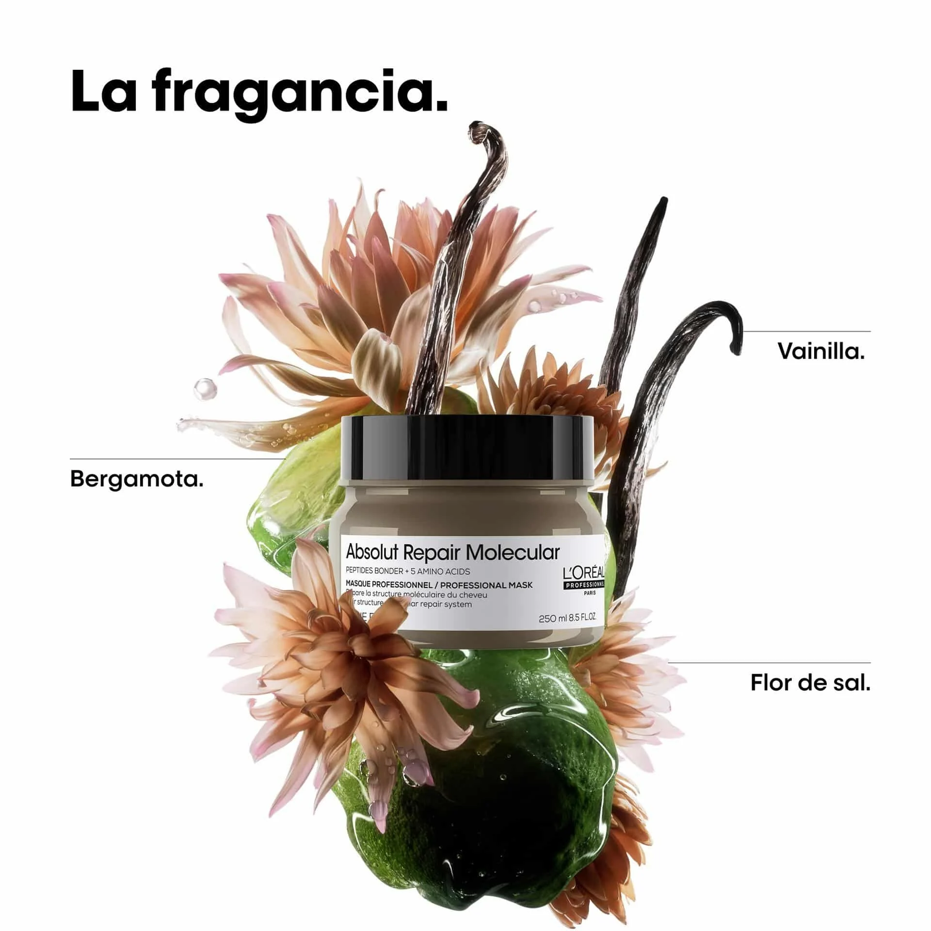 L'Oréal Professionnel Série Expert Absolut Repair Molecular Professional Mask 250ml 6