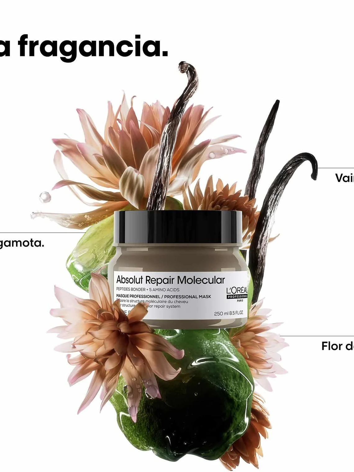 L'Oréal Professionnel Série Expert Absolut Repair Molecular Professional Mask 250ml 6