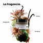 L'Oréal Professionnel Série Expert Absolut Repair Molecular Professional Mask 250ml - Miniatura 6
