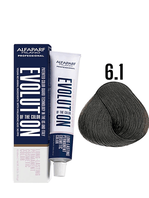 Alfaparf Evolution 6.1 Rubio Oscuro Ceniza Ash 60ml