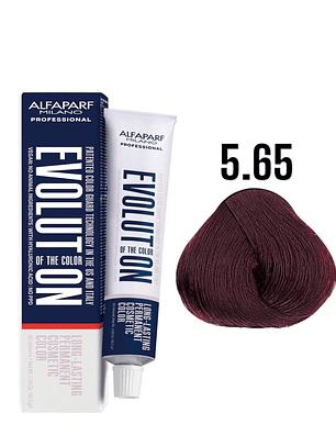 Alfaparf Evolution 5.65 Castaño Claro Rojo Caoba Reds 60ml