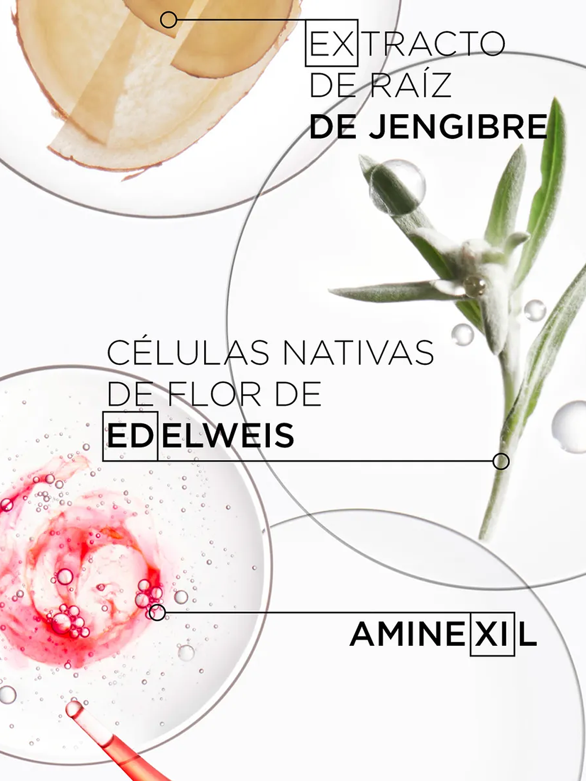 PACK GENESIS KERASTASE SHAMPOO 250 ML / SERUM 90ML 6