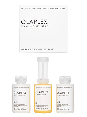 Traveling Stylist Kit 100 mL