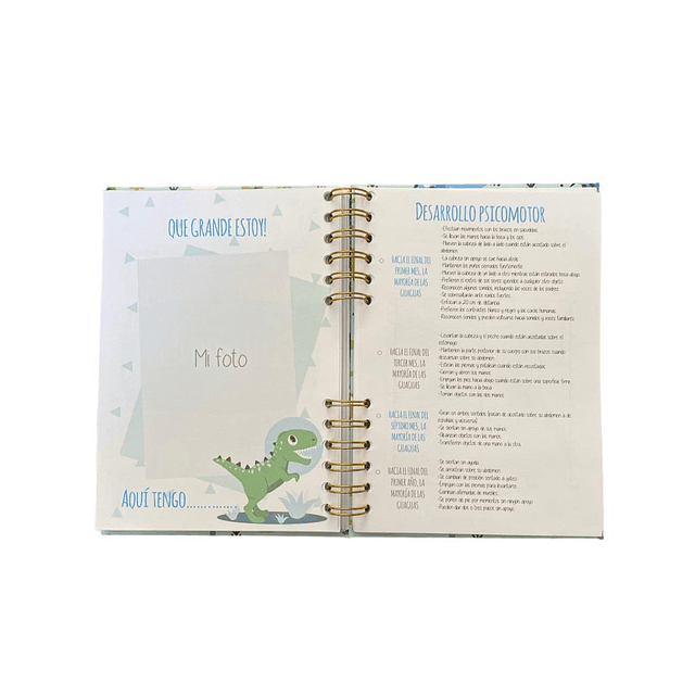 Agenda Pediátrica Personalizada Dinosaurio Renato