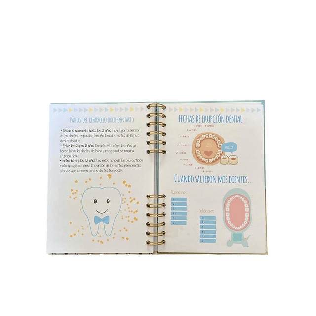 Agenda Pediátrica Personalizada Amigos Puercoespín