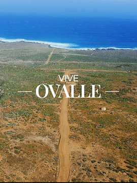Vive Ovalle IV Region