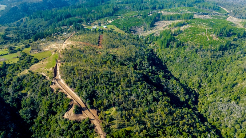 Montaña de Reyes  VI Región 