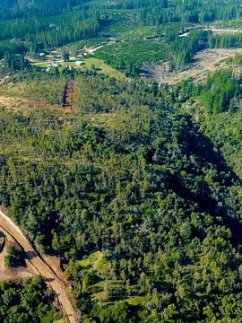 Montaña de Reyes  VI Región 