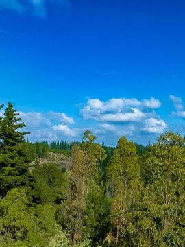 Montaña de Reyes  VI Región 