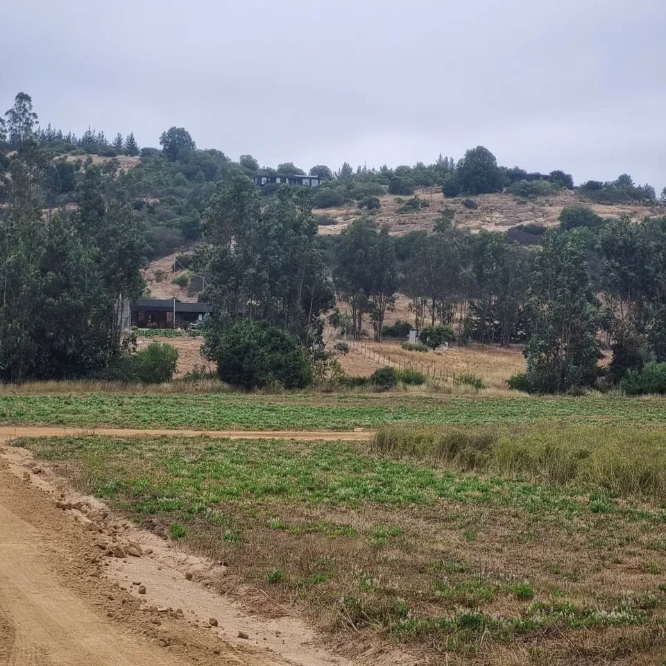 Lomas de Puertecillo