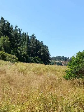 Lomas de Puertecillo